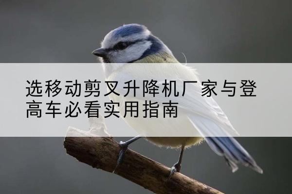 滨海电动升降机厂家-选移动剪叉升降机厂家与登高车必看实用指南