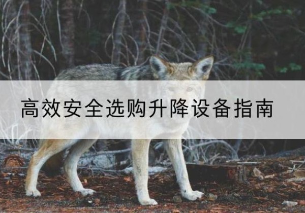 滨海升降货梯厂家推荐-*安全选购升降设备指南