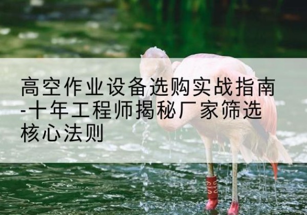 滨海剪叉式升降机厂家-高空作业设备选购实战指南-十年工程师揭秘厂家筛选核心法则